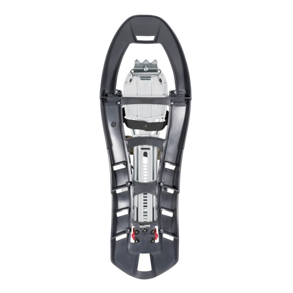 Baldas Pinter Castor