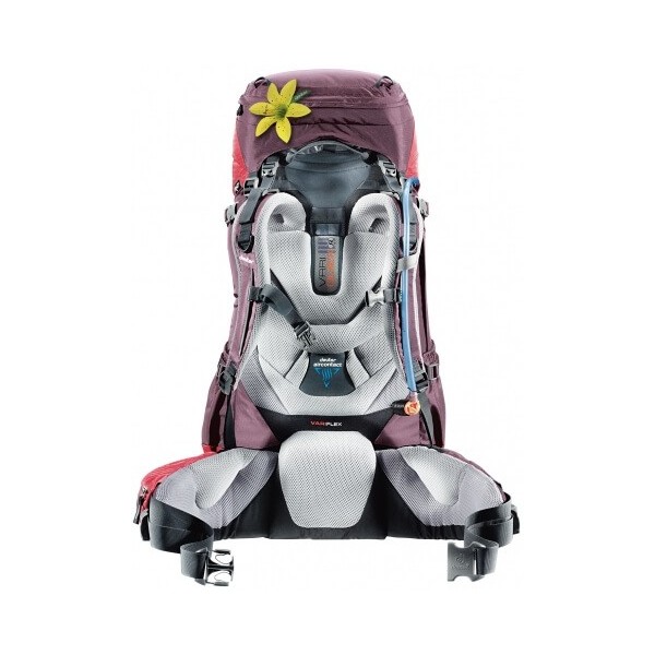 Deuter Aircontact 50+10 SL frau