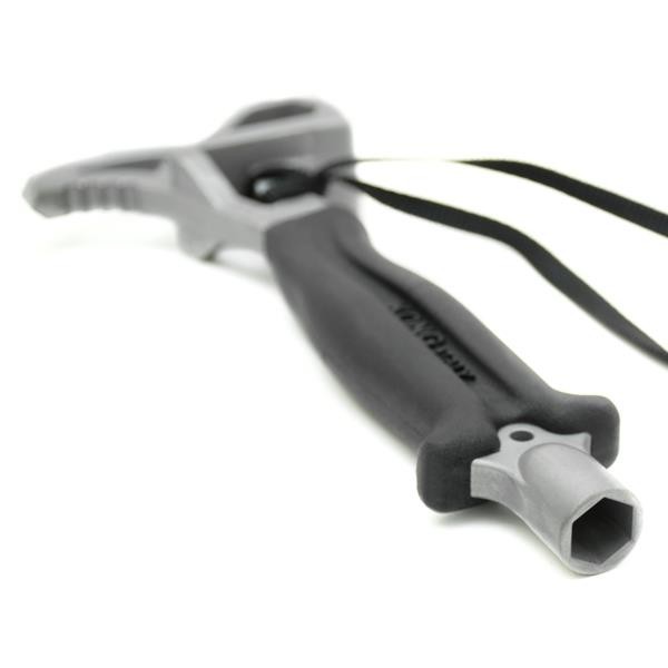 Kong Eagle Speleagle