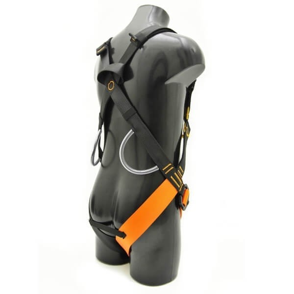 Petzl Gogo