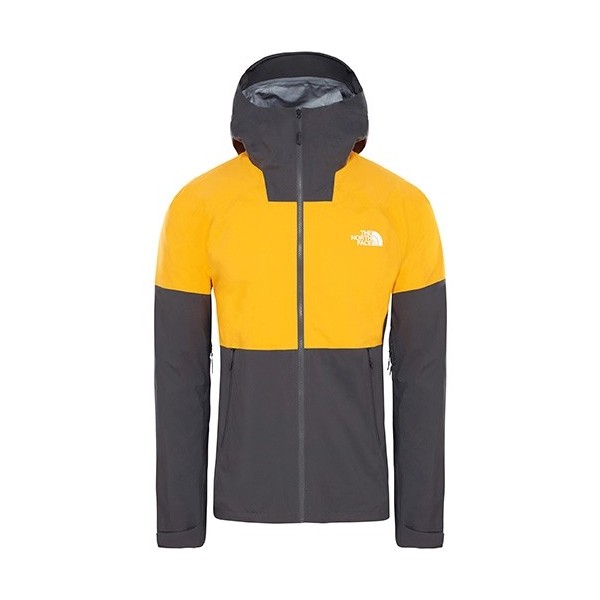 the north face impendor gore tex