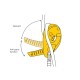 Petzl discensore I'D S