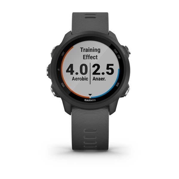 forerunner 245 garmin pay