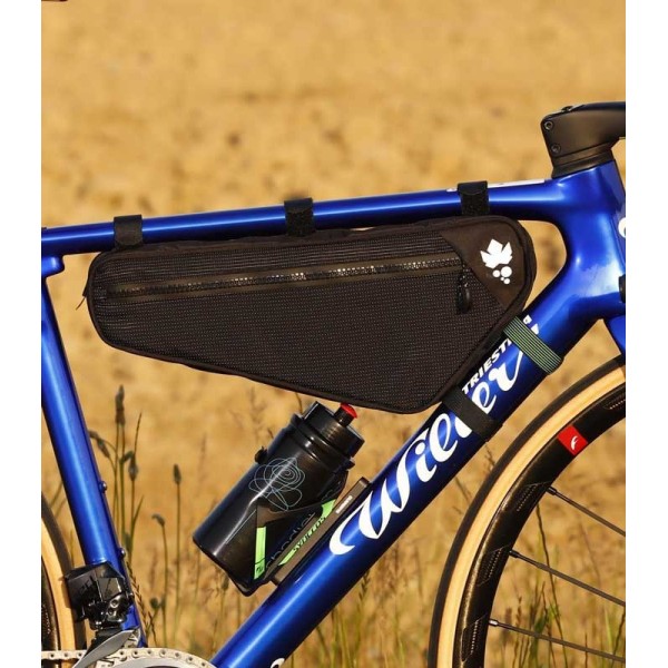 Miss Grape Internode 3 Road