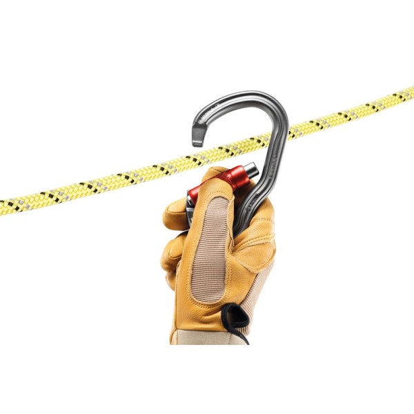 Petzl Vertigo twist-lock