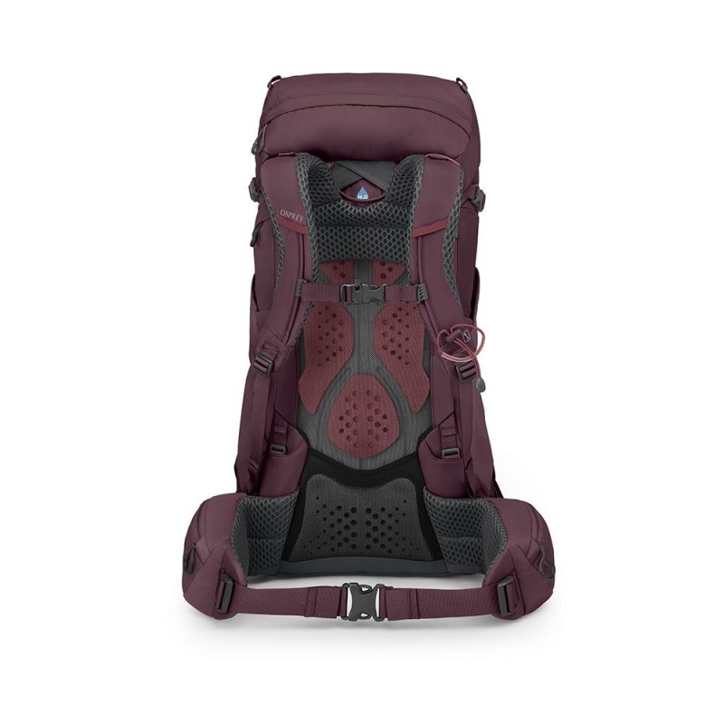 Osprey Kyte 38 WXS/S rugzak zwart | wehkamp