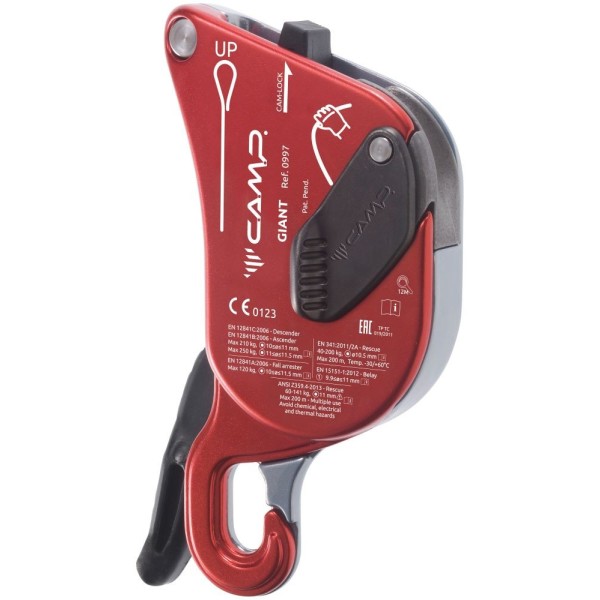 Camp Discensore Giant