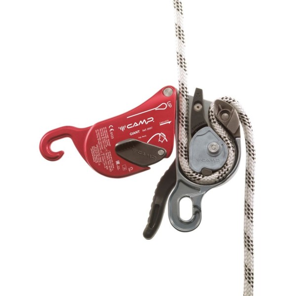 Camp Discensore Giant