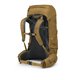 Osprey Rook 65