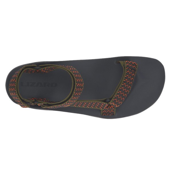 Lizard Hike Heritage