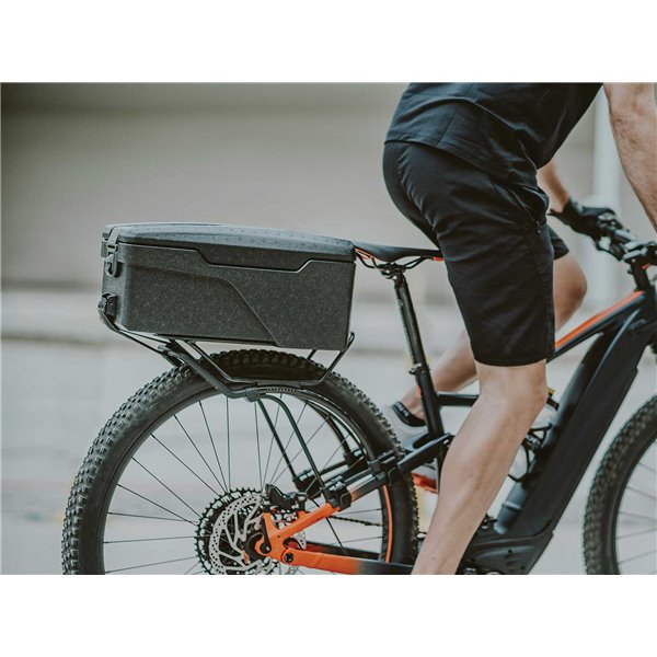 Topeak Tetrarack M2L
