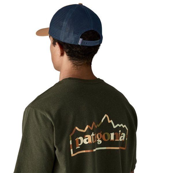 Patagonia P-6 Logo LoPro Trucker Hat new