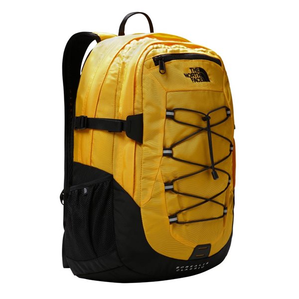 The North Face Borealis classic