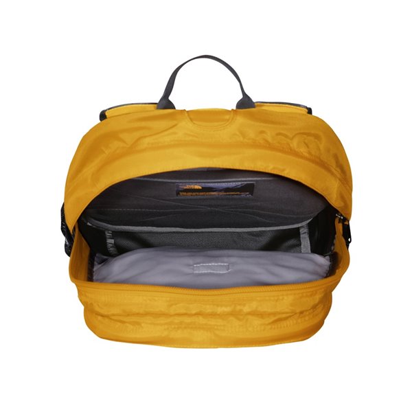 The North Face Borealis classic