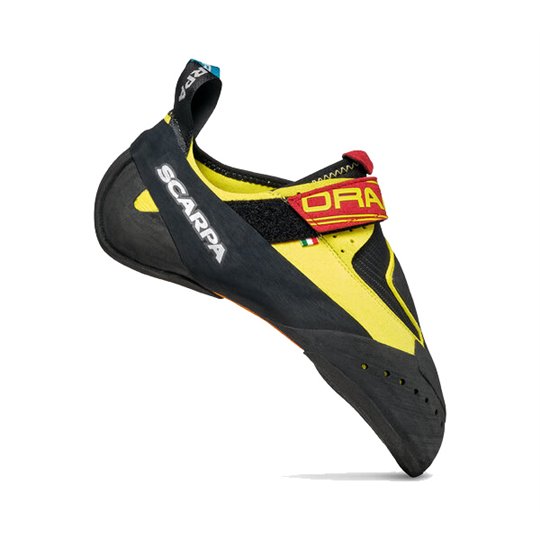 Scarpa Drago