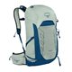 Osprey Talon 26