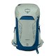 Osprey Talon 26