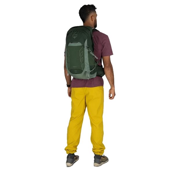 Osprey Talon 22
