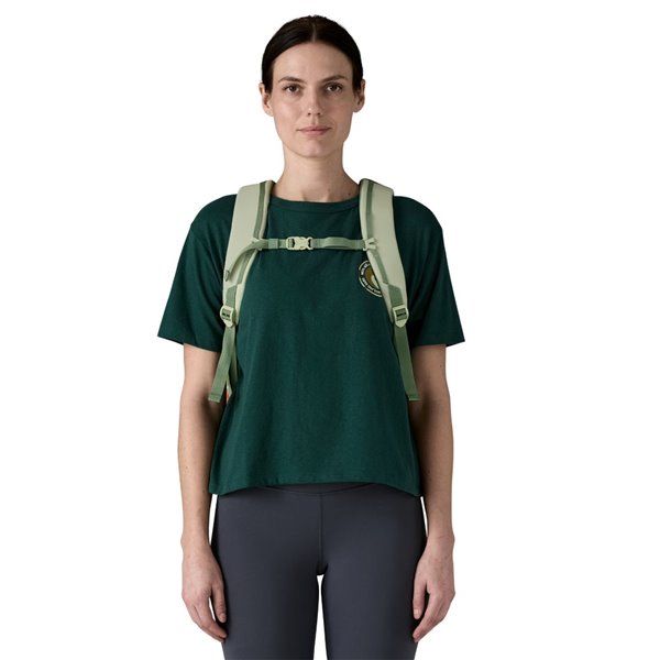 Patagonia Refugio Day pack 26