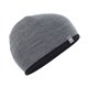 Icebreaker Merino 200 Oasis Reversible Beanie