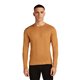 Icebreaker Merino 260 Tech Crewe long sleeve