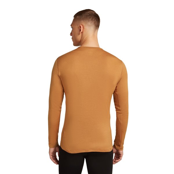 Icebreaker Merino 260 Tech Crewe maniche lunghe