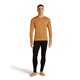 Icebreaker Merino 260 Tech Crewe long sleeve