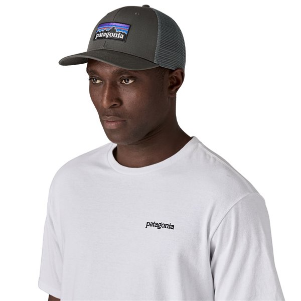 Patagonia P-6 Logo Trucker hat