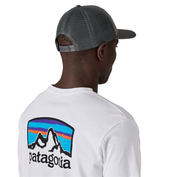Patagonia P-6 Logo Trucker hat