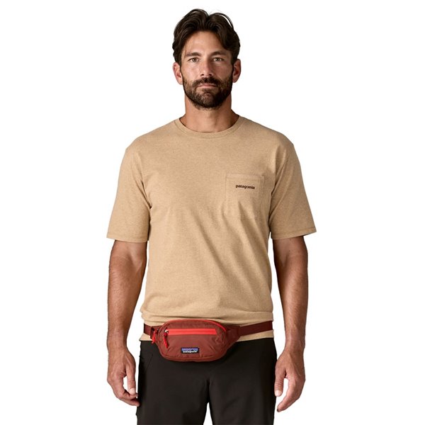 Patagonia Terravia Mini Hip pack